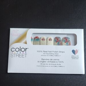 Color Street Take My Hand